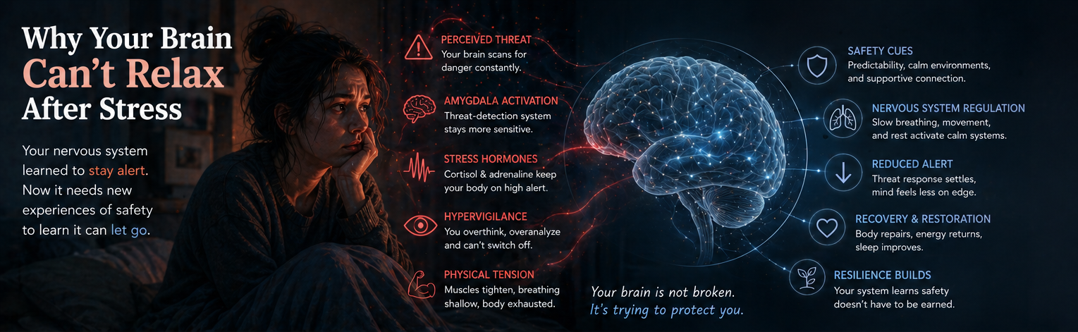 Hypervigilance and nervous system illustration